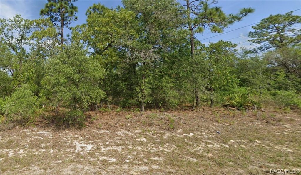6791 N Darlington Drive, Citrus Springs, FL 34434