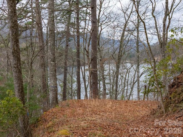 159 Songcatcher Court 159, Tuckasegee, NC 28783