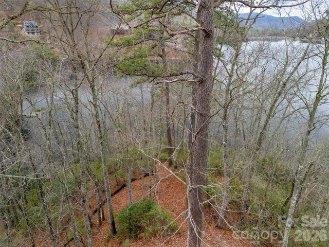 159 Songcatcher Court 159, Tuckasegee, NC 28783