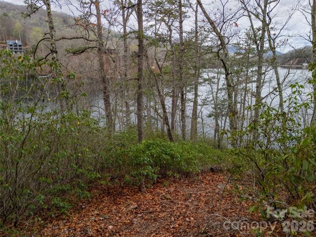 159 Songcatcher Court 159, Tuckasegee, NC 28783
