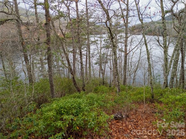 159 Songcatcher Court 159, Tuckasegee, NC 28783