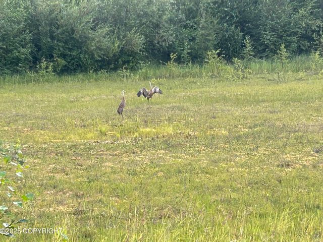 5550 W Limberlost Avenue, Wasilla, AK 99623