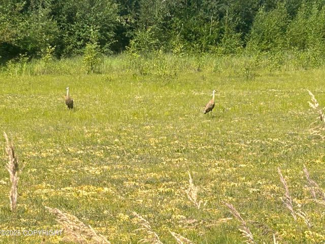 5550 W Limberlost Avenue, Wasilla, AK 99623