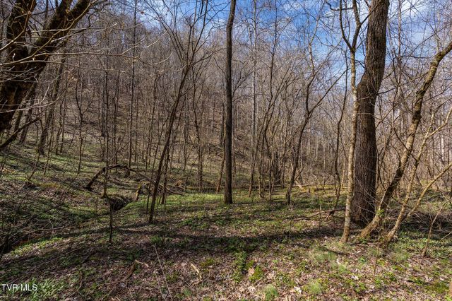 Tbd Light Hollow Road, Rogersville, TN 37857