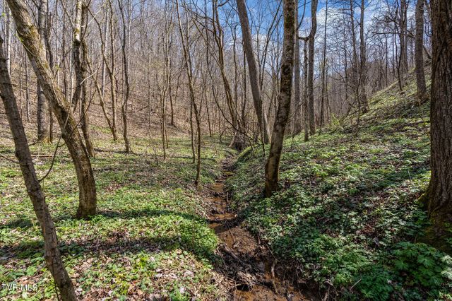 Tbd Light Hollow Road, Rogersville, TN 37857