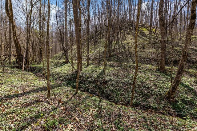 Tbd Light Hollow Road, Rogersville, TN 37857
