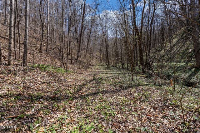 Tbd Light Hollow Road, Rogersville, TN 37857