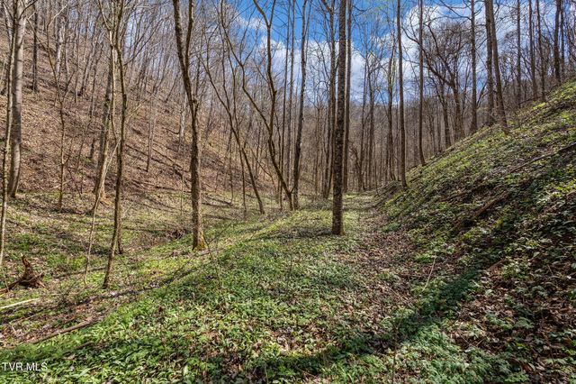 Tbd Light Hollow Road, Rogersville, TN 37857