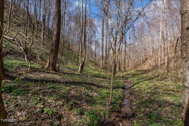 Tbd Light Hollow Road, Rogersville, TN 37857