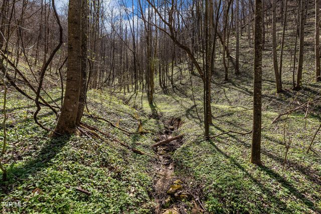 Tbd Light Hollow Road, Rogersville, TN 37857