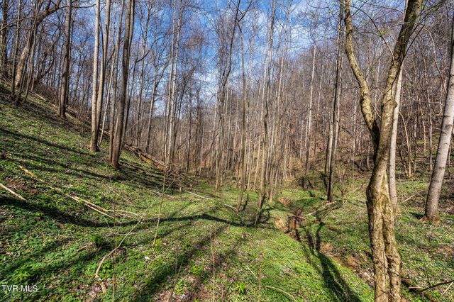Tbd Light Hollow Road, Rogersville, TN 37857