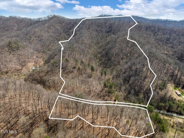 Tbd Light Hollow Road, Rogersville, TN 37857
