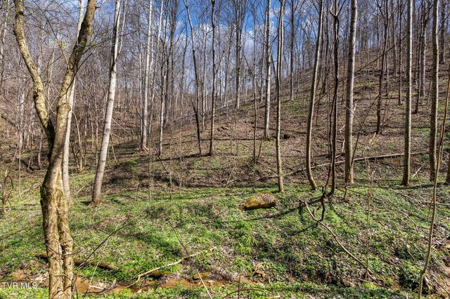 Tbd Light Hollow Road, Rogersville, TN 37857