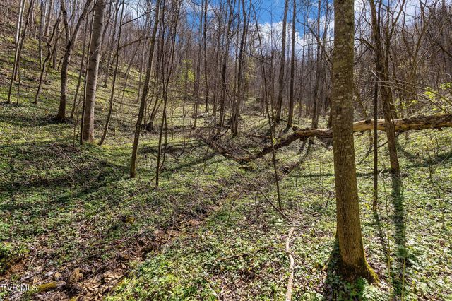 Tbd Light Hollow Road, Rogersville, TN 37857