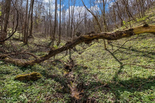 Tbd Light Hollow Road, Rogersville, TN 37857