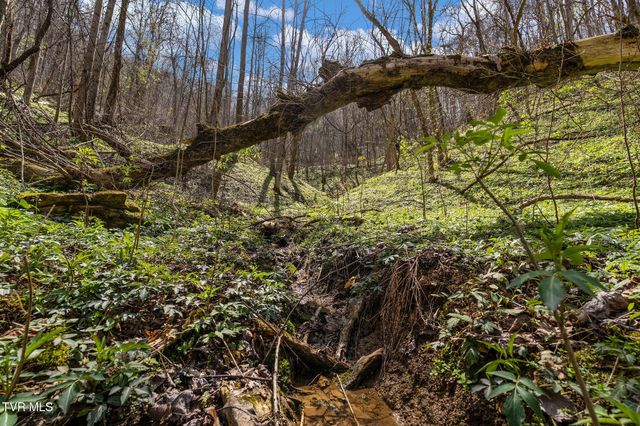 Tbd Light Hollow Road, Rogersville, TN 37857