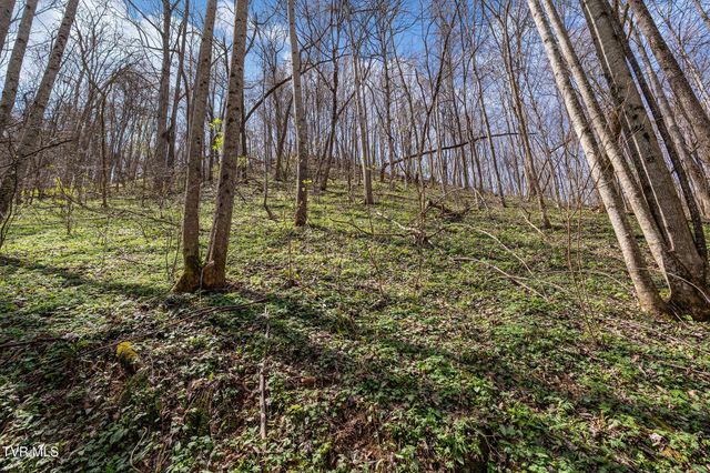 Tbd Light Hollow Road, Rogersville, TN 37857