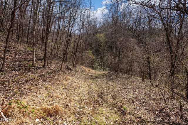 Tbd Light Hollow Road, Rogersville, TN 37857