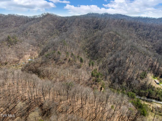 Tbd Light Hollow Road, Rogersville, TN 37857