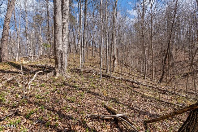 Tbd Light Hollow Road, Rogersville, TN 37857