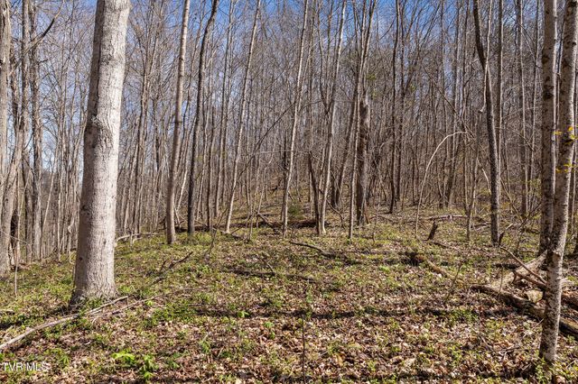 Tbd Light Hollow Road, Rogersville, TN 37857