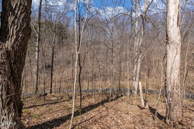 Tbd Light Hollow Road, Rogersville, TN 37857