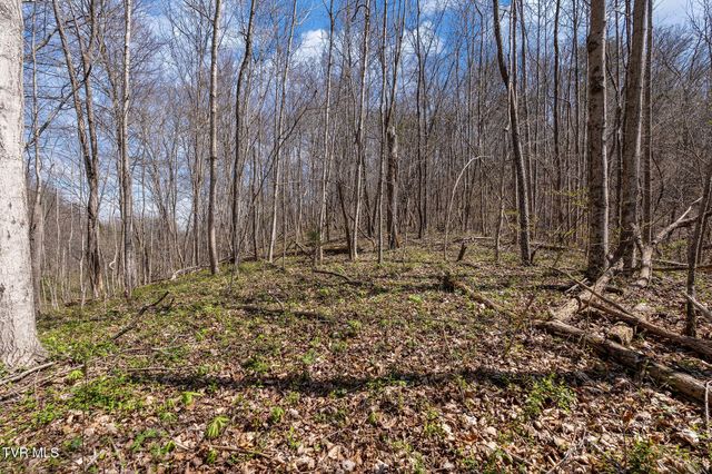 Tbd Light Hollow Road, Rogersville, TN 37857