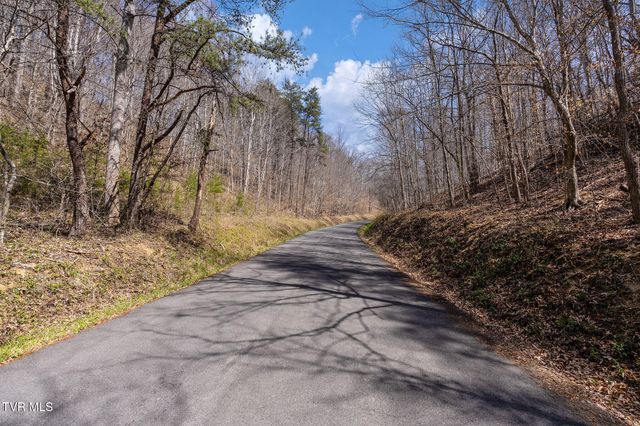 Tbd Light Hollow Road, Rogersville, TN 37857