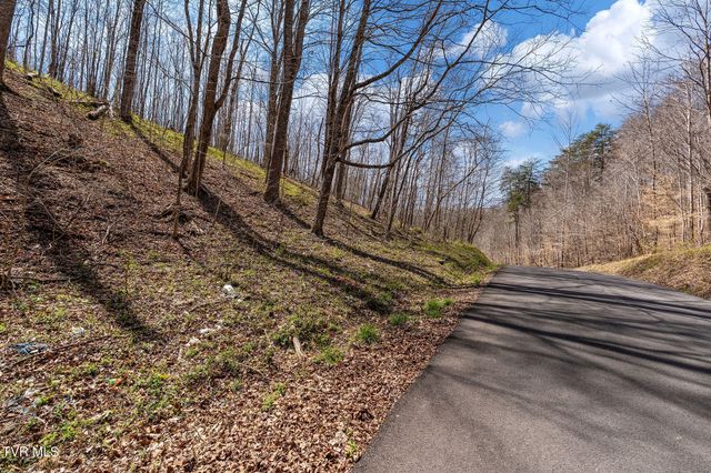 Tbd Light Hollow Road, Rogersville, TN 37857