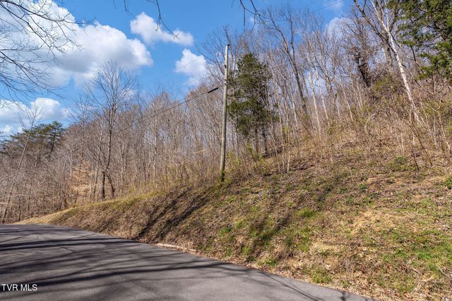 Tbd Light Hollow Road, Rogersville, TN 37857