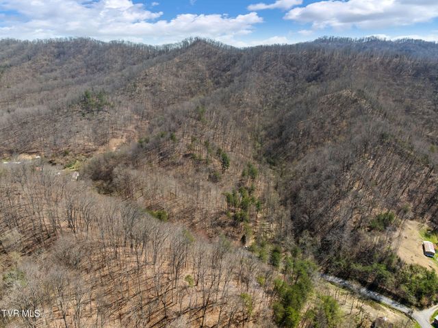 Tbd Light Hollow Road, Rogersville, TN 37857