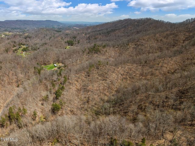 Tbd Light Hollow Road, Rogersville, TN 37857