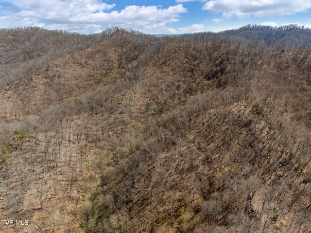 Tbd Light Hollow Road, Rogersville, TN 37857