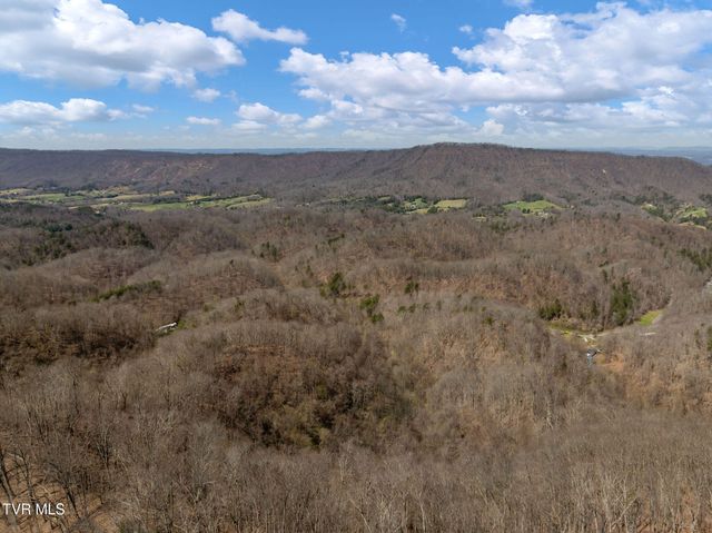 Tbd Light Hollow Road, Rogersville, TN 37857