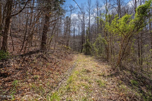 Tbd Light Hollow Road, Rogersville, TN 37857