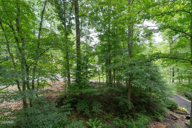 3905 Fern Brook Way, Sevierville, TN 37862