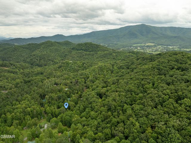 3905 Fern Brook Way, Sevierville, TN 37862