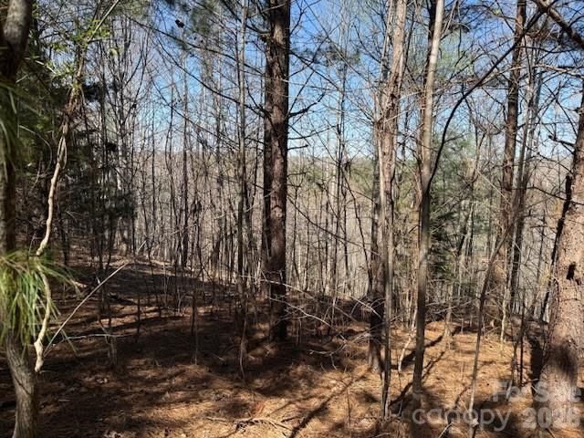 00 Hope Drive, Rutherfordton, NC 28139