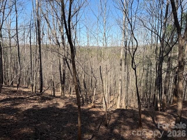 00 Hope Drive, Rutherfordton, NC 28139