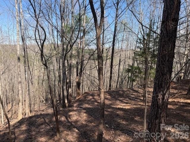 00 Hope Drive, Rutherfordton, NC 28139