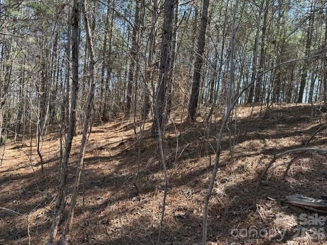 00 Hope Drive, Rutherfordton, NC 28139