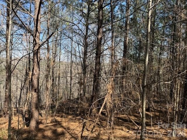 00 Hope Drive, Rutherfordton, NC 28139