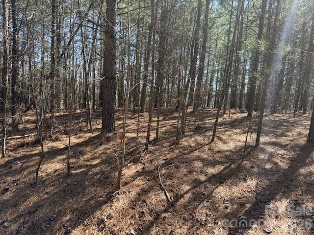 00 Hope Drive, Rutherfordton, NC 28139