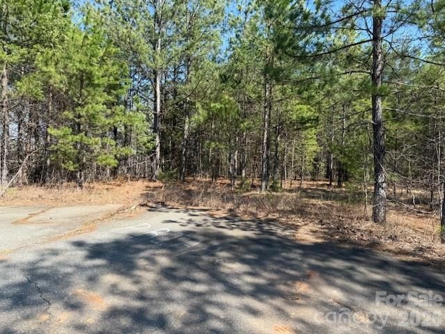 00 Hope Drive, Rutherfordton, NC 28139