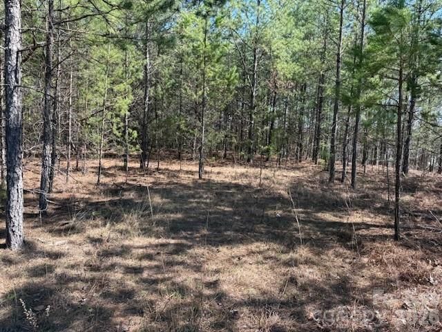 00 Hope Drive, Rutherfordton, NC 28139