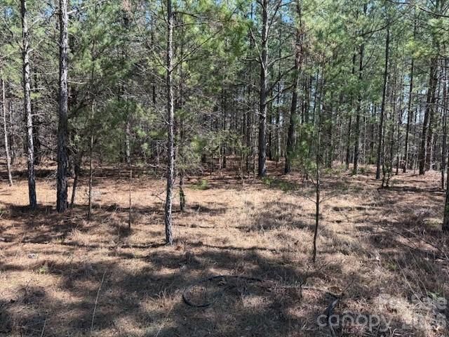 00 Hope Drive, Rutherfordton, NC 28139