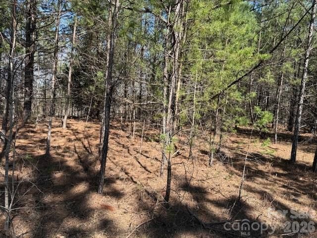 00 Hope Drive, Rutherfordton, NC 28139