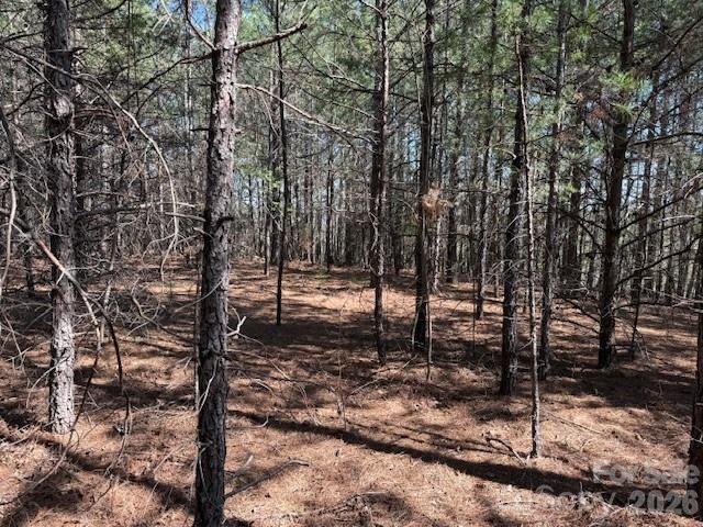 00 Hope Drive, Rutherfordton, NC 28139