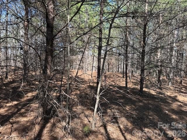 00 Hope Drive, Rutherfordton, NC 28139