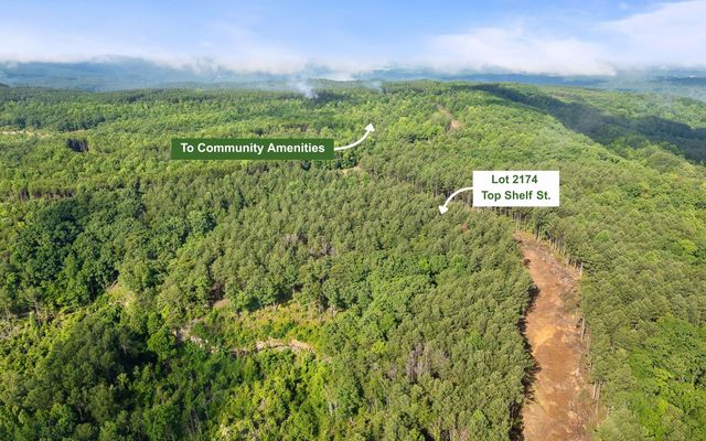 Lot 2142 Top Shelf Street, Guild, TN 37340